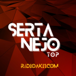 06-Sertanejo Top